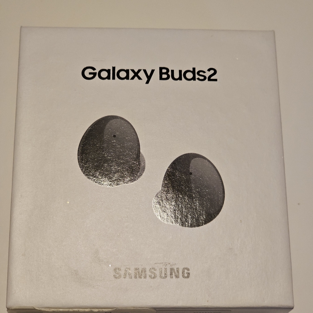 Samsung Galaxy Buds2, black in a white case.